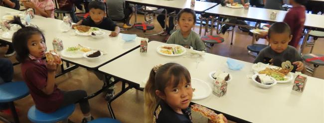 Children enjoying lunch at tables in the school cafeteria, surrounded by chairs and a lively atmosphere.
